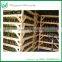 Ficus Ginseng Live Natural Plants