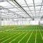BaoLiDa venlo Polycarbonate greenhouse hot-dip galvanized steel pipe fish greenhouse