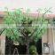 Artificial banyan tree with grass animals for sale