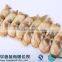 Seafood Importer Clam Meat Shellfish Seafood Frozen