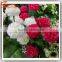 artificial flower decoration from guangzhou factory