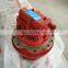 MAG-18V-150E-1 SK20 Mini Excavator Travel Motor SK20SR Drive Unit SK20SR-3 SK20SR-5 Final Drive