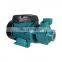 QB60 Series 0.5hp-3HP water feeding  Garden Vortex domestic water pumps