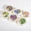 Winter Christmas Designs Nail Art Colors 3d Decoration Holographic Nail Sticker Set