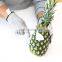 Anti Cut Level 5 Kitchen food grade cut resistant gloves