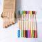 Factory price high quality 10PCS/PACK Premium Best ECO Reusable Organic color Bamboo Toothbrush