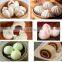30 gm bun rounder /bao buns making/forming processing machine