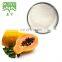 high quality Papaya fruit extract powder papain
