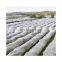 Red anti-insectos para proteger plantas, 100% nuevo HDPE, red anti-insectos y abejas para agricultura, vegetales, invernaderos y árboles frutales en venta