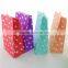 Promotion Paper Bag/Cheap Craft Paper Bag
