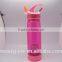 2015 Fashion Tea fruit water bottle infuser cheap 500ml sports water bottle Hot sale plastic water bottle