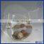 Yageli 2016 new products crystal acrylic tiny fish tank