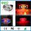 wholesale 2016 Best Selling bike bicycle laser beam rear tail light