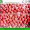 iqf strawberries frozen in hot sale