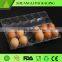 Clear transparent plastic 12ct egg tray