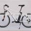 26inch MTB 250w 36v 10ah mountain electric bike popular pro MTB ebike