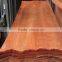 red color veneer burckella veneer for marine plywood