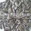 New Crop Chinese Sunflower Seed 5009/3638/0409 on Promotion for Sale