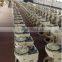 Taiwanese shaved ice maker with best price for sale