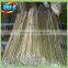 Agriculture bamboo cane support tree 4ft 10-12mm
