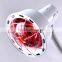 RED Far Infrared Lamp for Wrinkle Removal