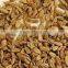 Best Quality Carrot Seeds from India (Gujarat)