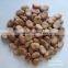 Popular Products Dry Broad Beans