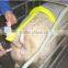 Animal Artificial insemination frame for pig/sow/swine/sheep/goat/cattle/horse