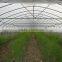 Hot dip galvanized steel pipes / Greenhouse steel pipe / hollow section steel pipe for construction on sale