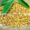 fenugreek