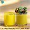 colored glass vases