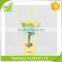 Free Plastic Cool Ice Cream Cup/ Starbucks Cup With Lid