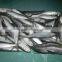 2017 New frozen sardines price for wholesale