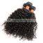 7A Grade Unprocessed Virgin Malaysian Curly Hair