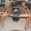 Insect Park Model Animatronic insect from Zigong City