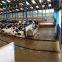 Steel Structure Dairy Farm Shed / Steel Structure Cow Dairy Farm