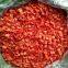 Frozen RED pepper dices