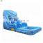 family small free time fun playful inflatable water slide with pool