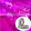Waterproof led grow light strip red and blue color for greenhouse plant grow shelf
