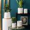 Marbled White And Gold Nordic Ins Style Breathable Succulent Tray Ceramic Vase For Home Gardening