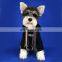 Best Quality New Fashion Brand Trendy Pet Apparel Summer Korean Cute Small Winter Designer Luxury Wholesale Dog Clothes