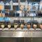 Fully automatic apple peeling coring and slicing machine