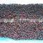 Frozen Fruit IQF Black Currant