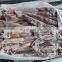frozen argentine illex squid illex argentina whole round