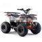 Electric ATV Cheap For Sale Off road 1.2KW 48V With Brushless Motor Differential Shaft Drive , ATV Bike Four wheeler