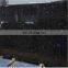high quality blue butterfly granite, blue granite tiles 50x50