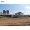 industrial design modern automatic chicken house with door poultry shed farm