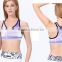 (Trade Assurance)sportswear bra cross fit sportswear bra push up bra