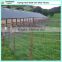 cold galvanied hinge-lock sheep and goat field fences(manufacturer)