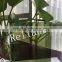 Solid Structure and Decorative Glass,Heat Reflective Glass,Low-E Glass Function Float Glass